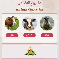جامعة بنها .. أضحيتك من مزارعنا